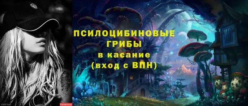 Псилоцибиновые грибы Magic Shrooms  наркотики  Усть-Лабинск 